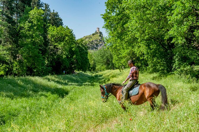 1 Hour Horseback Ride in Valgraziosa Pisa - Pickup Service Information