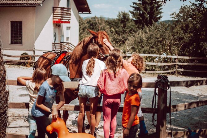 1-Hour Small-Group Horseback Riding Guided Activity From Ljubljana - Important Notes