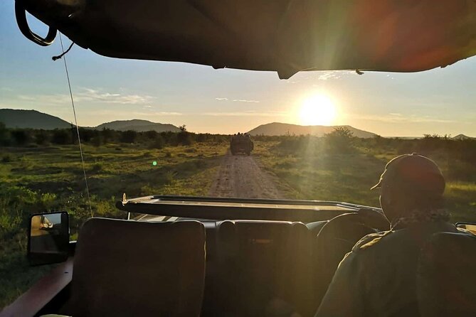 1 Night Madikwe Game Reserve - Overall Experience and Recommendations