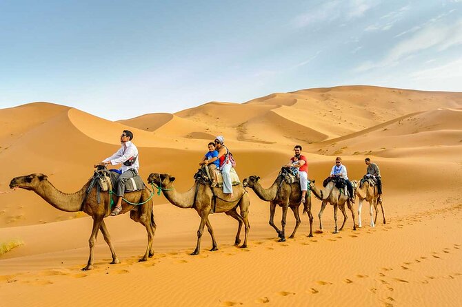 1 Night Merzouga Camel Trekking - Additional Info