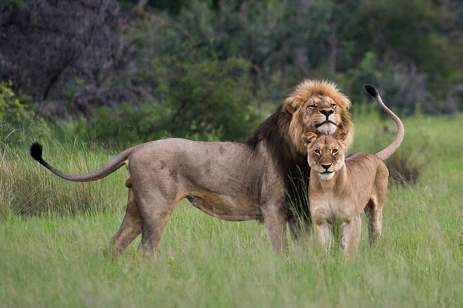 10-Days Mountain Gorillas, Chimps & Uganda Wildlife Safari - Booking Information