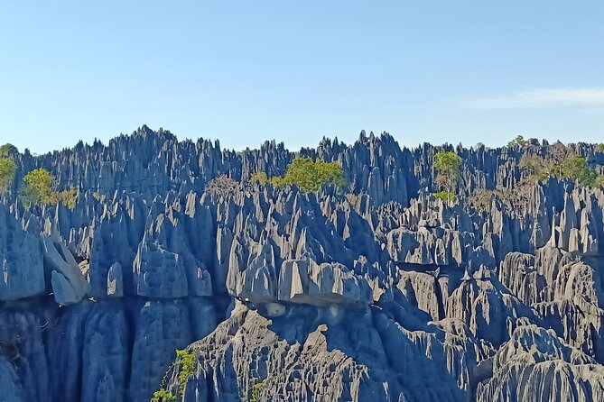 10 Days River Trip at Tsiribihina, Tsingy and Baobab Avenue - Important Considerations