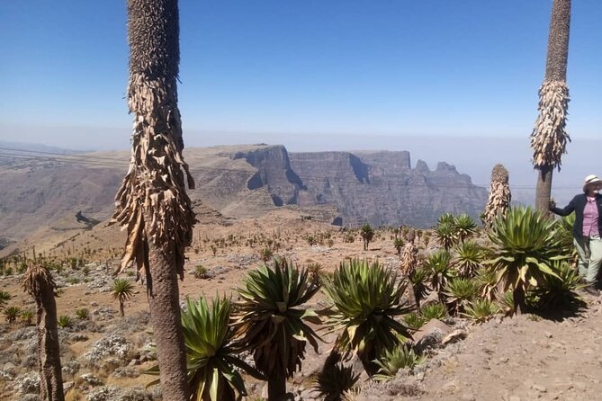 10 Days Simien Mountains Trekking, Adi Arkay via Ras Dashen - Daily Meals and Dietary Restrictions