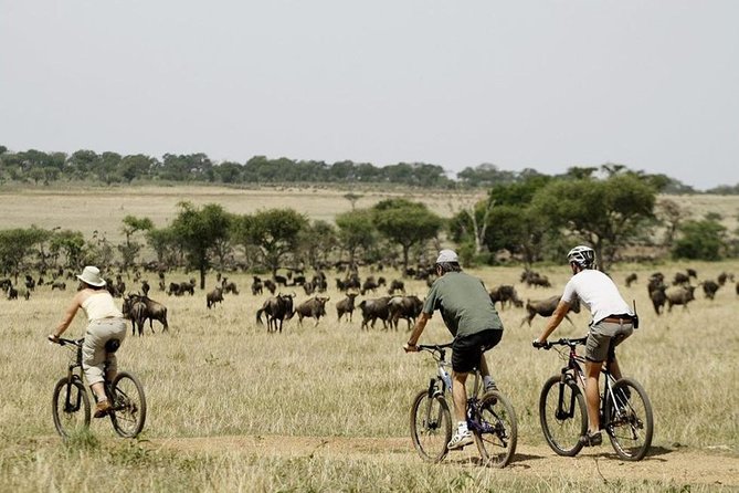 11 Days Kenya Cycling Biking Safari Adventures - Accommodation Details