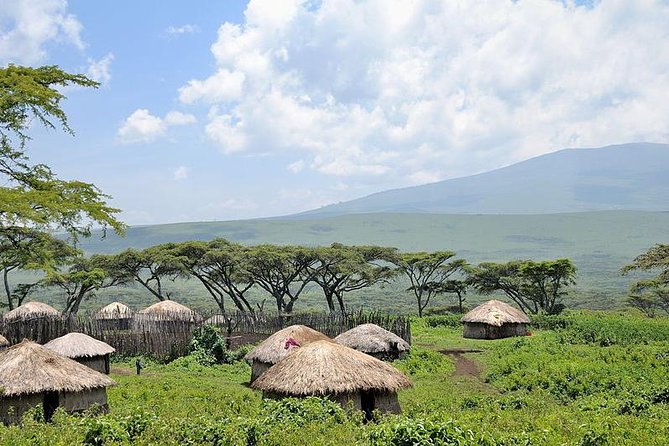 13 Days Ultimate Luxury Safari Tour Tanzania - Safari Experience
