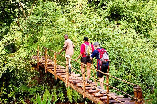 14 Days Uganda Rwanda Primate Tour