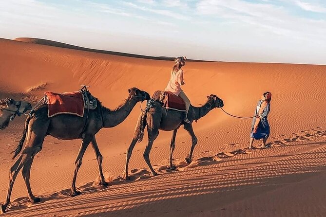 15 Day - Fes Desert Tour - Operator Information and Verification