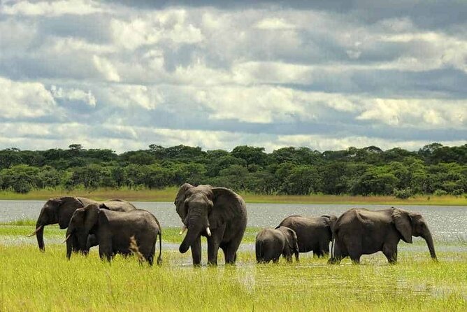 15-Days Around Uganda Safari - Exclusions and Optional Activities
