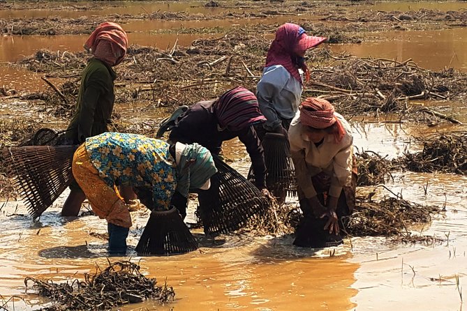 1day Private Tour, Angkor Sunrise,All Main Temples, Banteay Srei - Tour Highlights