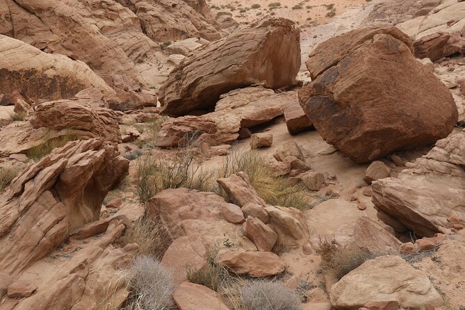 2-Day Hiking Adventure and Jeep Tour From Wadi Rum - Frequently Asked Questions