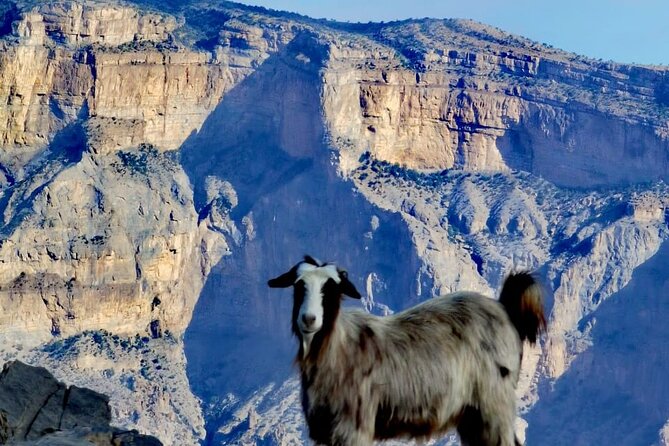 2-Day Private Guided Nizwa and Jebel Akhdar Tour From Muscat - The Sum Up