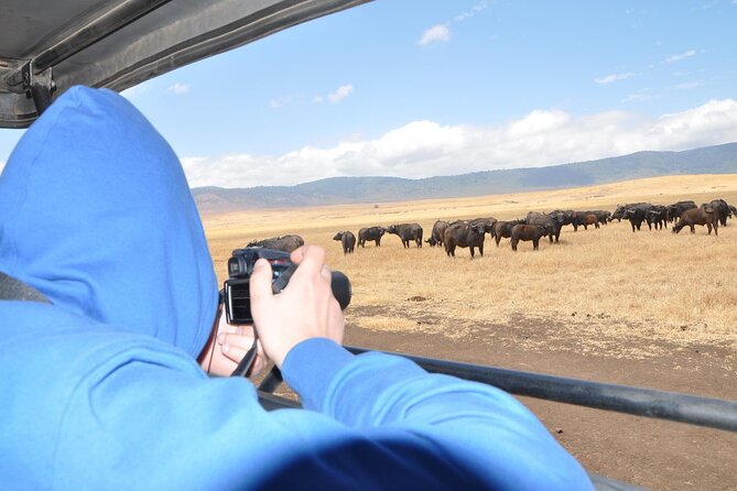2-Day Tour Safari Tarangire Ngorongoro Crater and Maasai Village - Logistics Overview