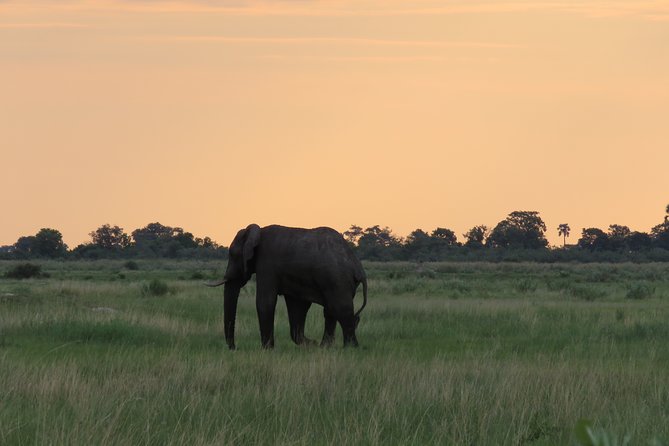 2 Day Wilderness Trail: Okavango Delta and Moremi - Camping Safari - Inclusions and Amenities