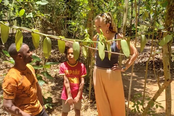 2-Day Zanzibar Adventure: Stone Town & Spice Farm (all-incl.) - Health and Fitness Requirements