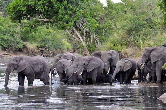 2 Days / 1 Night Join Group Safari - Meeting Point Information