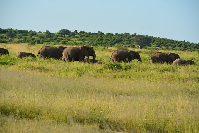 2 Days 1 Night Northern Joining Safari Private Tour - Booking Directions