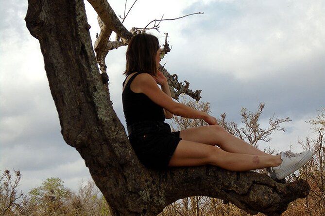 2 Days /1 Night Safari to Mikumi - Meeting and Pickup Information