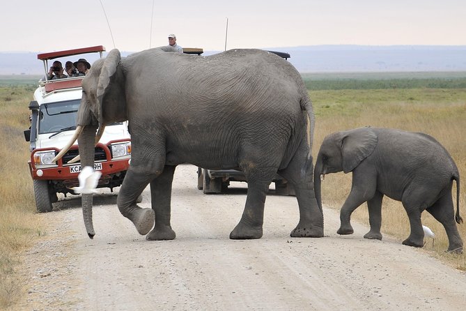 2 Days Amboseli Getaway Trip - Additional Traveler Information