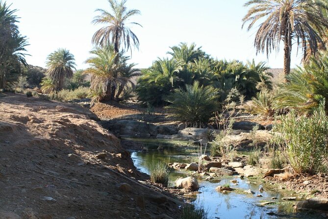 2 Days El Borj Desert Tour From Agadir - Customer Testimonials