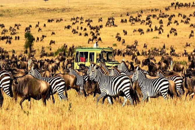 2 Days Enjoy Serengeti National Park With Balloon Safari - Additional Inclusions
