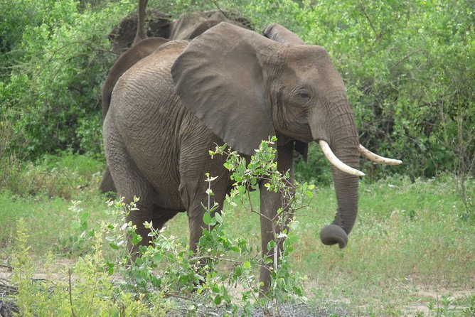 2 Days Lodge Safari. - Directions and Important Notes