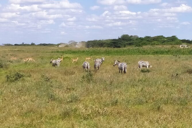2 Days Maasai Mara National Reserve Safari From Nairobi - Booking and Cancellation Policies