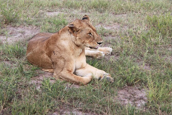 2-Days Mikumi National Park Budget Safari - Inclusions and Exclusions