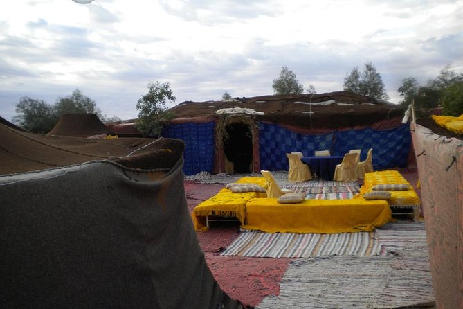 2 Days Private Desert Tour From Marrakech to Draa Valley Including Camel Ride - Tour Operator and Lowest Price Guarantee