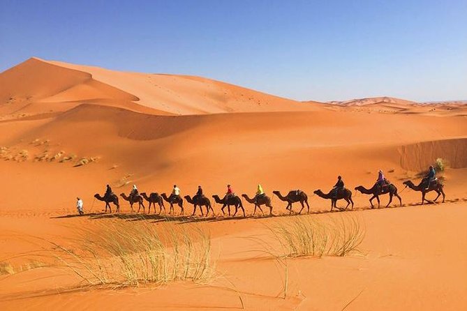 2 Days Sahara Desert Trip From Fes Return To Fes All Inclusive - Accommodation and Amenities
