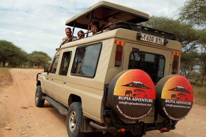 2 Days Tanzania Safari - Lake Manyara and Tarangire National Park - Traveler Requirements