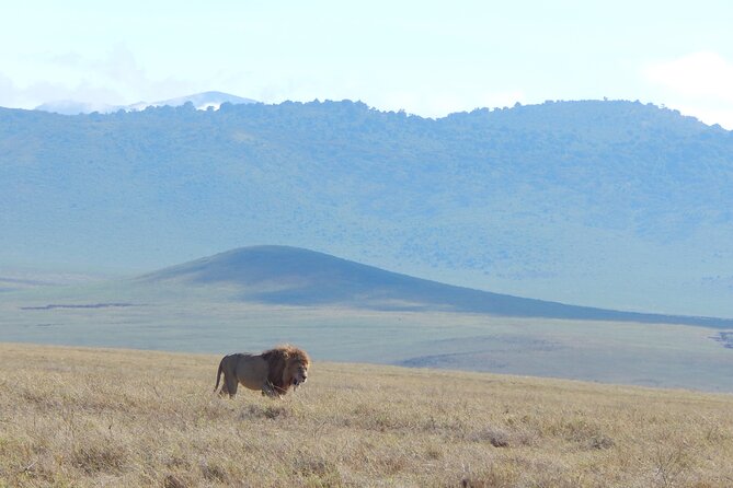 2 Days Tarangire and Ngorongoro Crater Tour - Directions