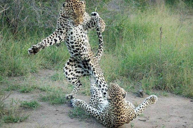2 Days Tarangire and Ngorongoro Group Tour - Meals and Dining Options