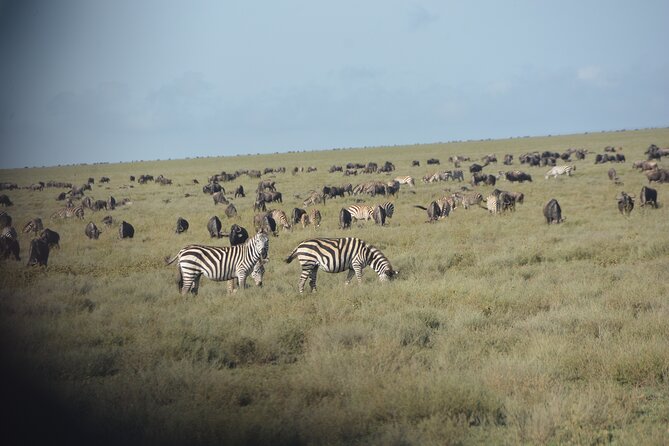 2 Days Tour From Zanzibar to Nyerere National Park (Selous GR) - Frequently Asked Questions