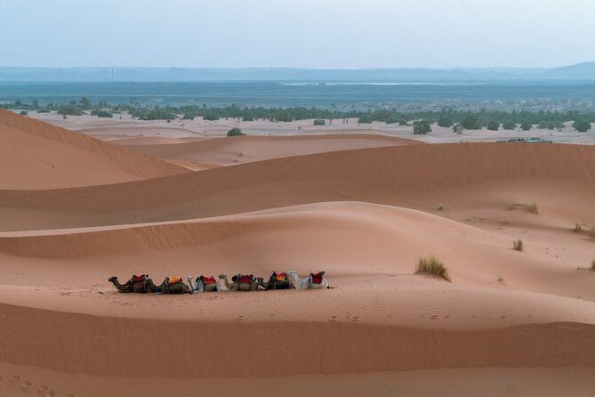 2 Days Trip From Ouarzazate to Merzouga - Customer Reviews