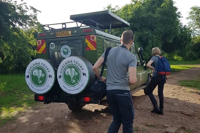 2 Days Trip_Akagera National Park (Wildlife Safari) - Safety and Accessibility Information