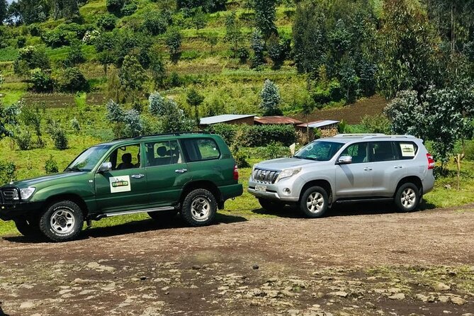 2 Days Uganda Gorilla Trekking - Meeting and Pickup Logistics