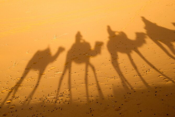 2 Days Zagora Desert Camp From Marrakech - Tour Overview