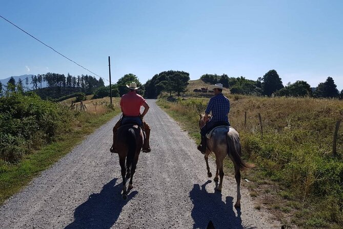 2-Hour Private Horse Riding With Views in Tuscany - The Sum Up