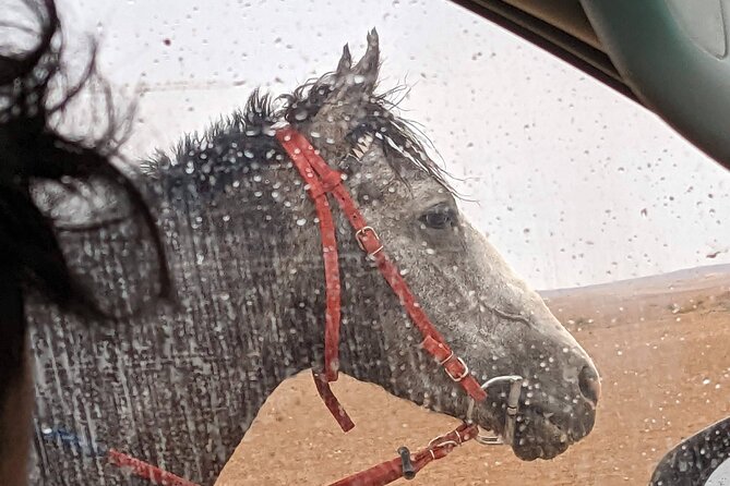 2 Hour Trail Ride to Little Petra-Morning or Sunset - Pricing and Booking