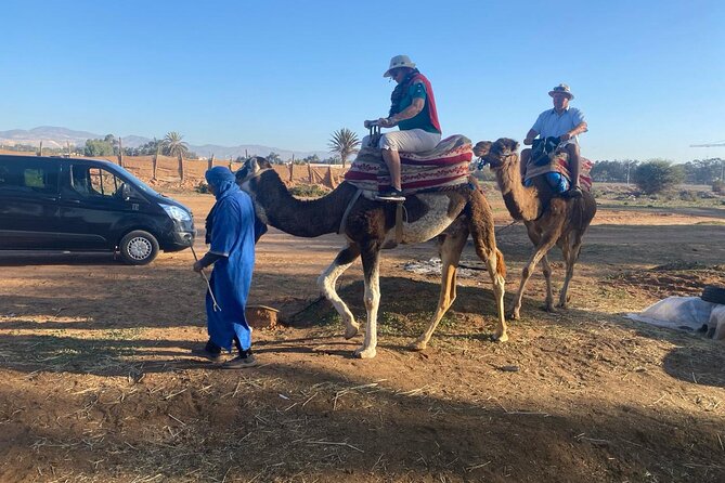 2 Hours Agadir Camel Riding Tour