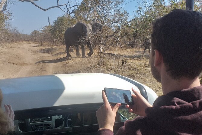 2-Hours Elephants Safari Day Tour in Victoria Falls - The Sum Up