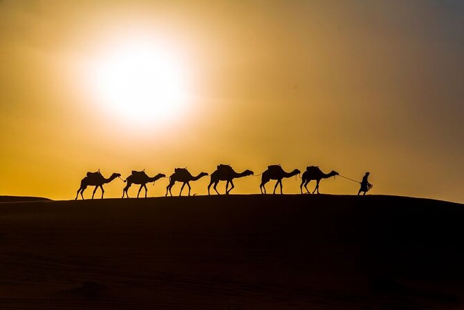 2 Nights Camel Trekking in Merzouga - Reviews and Ratings
