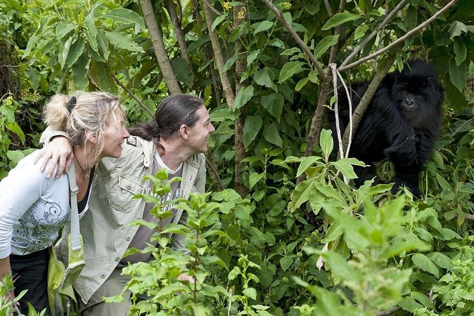 20 Days Combined East African Adventure Safari - Customer Reviews and Ratings