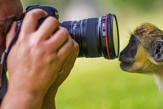 2days Spectacular Tanzania Safari - What To Expect During the Safari