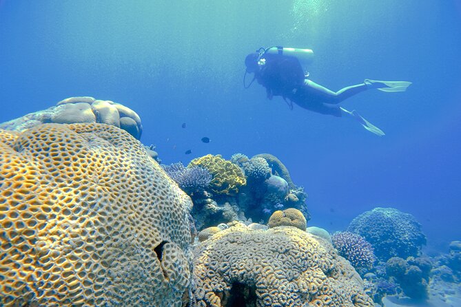 3-Day Open Water Scuba Diving Course in Aqaba - Frequently Asked Questions