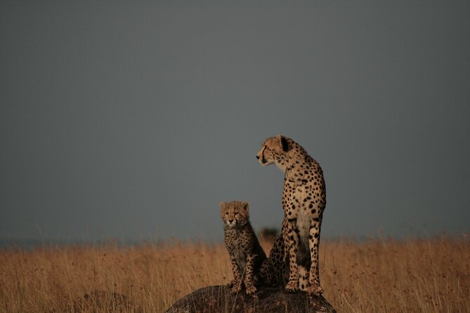 3-Day Private Masai Mara Safari - Inclusions and Exclusions