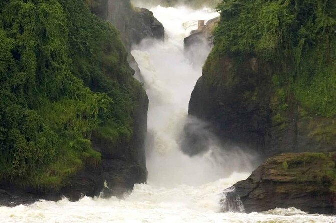 3-Day Tour in Murchison Falls Safari & Rhino Tracking - Transportation Logistics