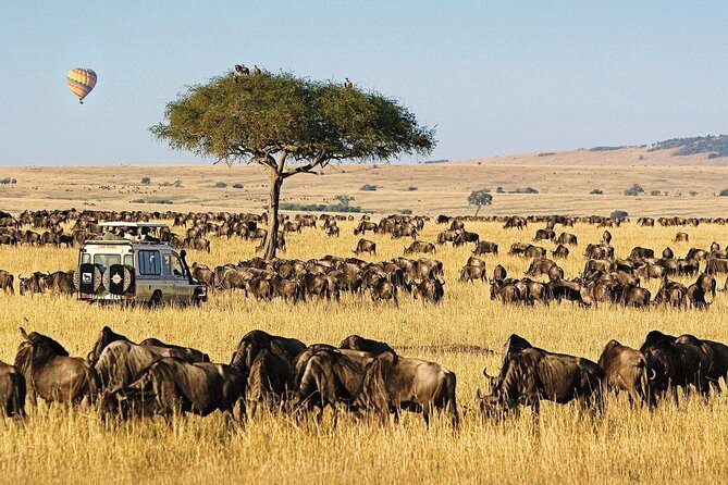 3 Days 2 Nights Maasai Mara Private Tour - Frequently Asked Questions