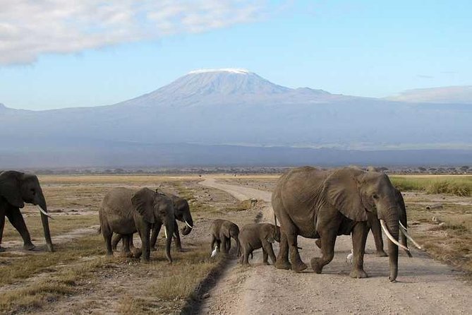 3 Days Amboseli Private Safari - Additional Tour Information