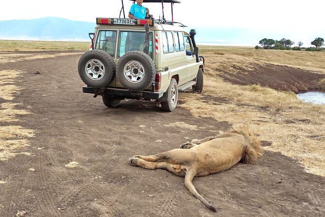 3 Days Exploring Serengeti & Ngorongoro Crater From Arusha - The Sum Up